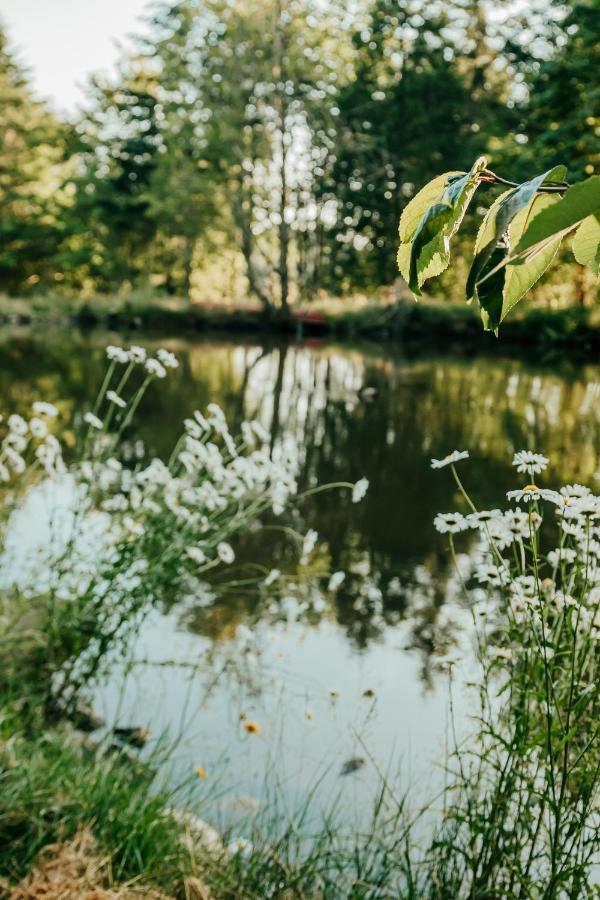 Вілла Healing Ponds Farm Buxton Екстер'єр фото