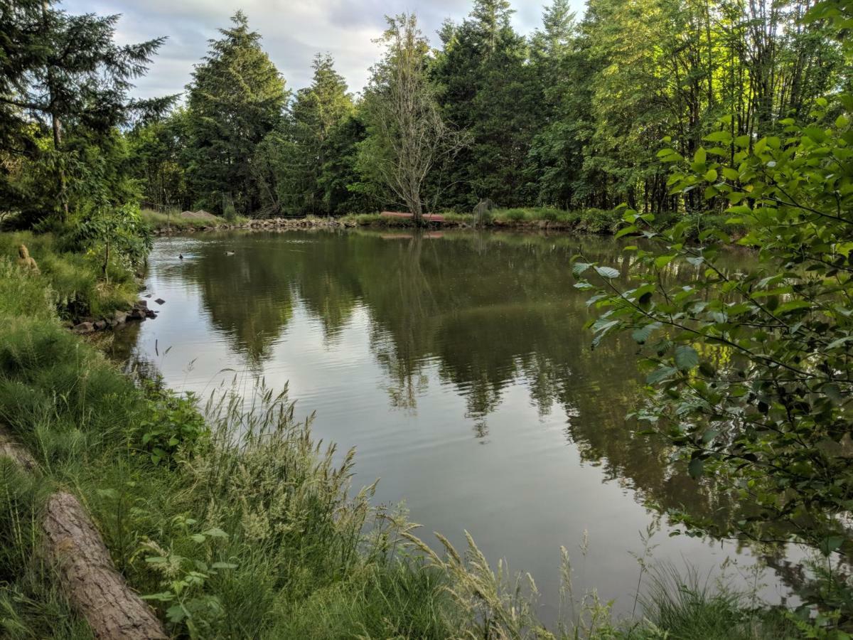 Вілла Healing Ponds Farm Buxton Екстер'єр фото